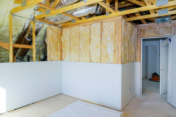 Best Eco-Friendly Insulation in Arden Arde, CA